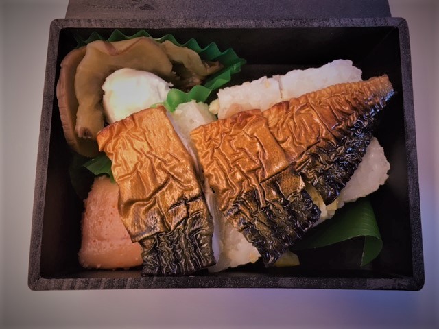 河津行き新幹線IMG_7245 (002).jpg