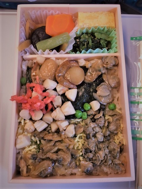 河津行き新幹線IMG_7248 (002).jpg