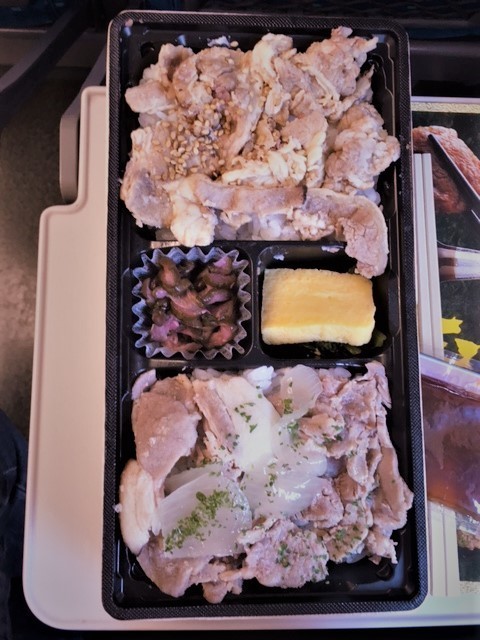 河津行き新幹線IMG_7249 (002).jpg