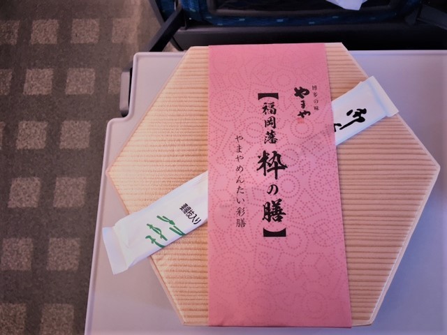 熱川温泉行き新幹線IMG_8367 (002).jpg