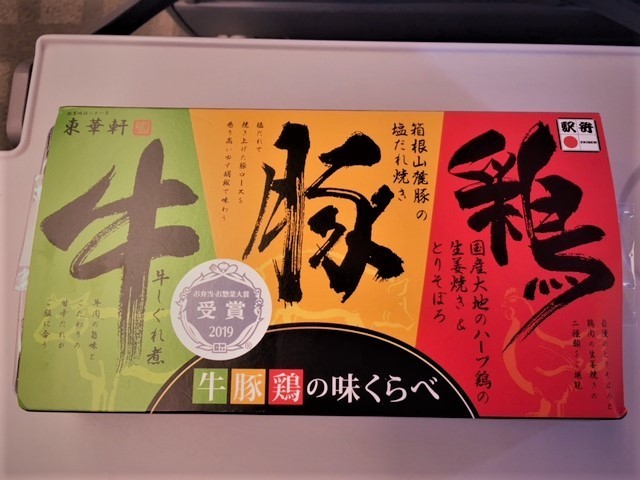 熱川温泉行き新幹線IMG_8372 (002).jpg