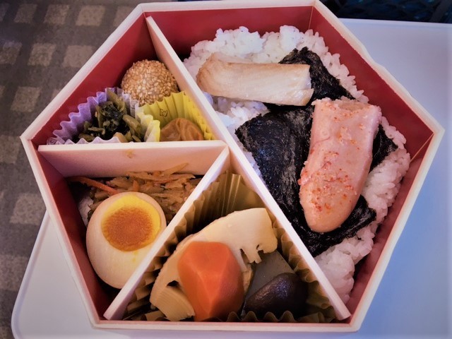 熱川温泉行き新幹線IMG_8383 (002).jpg