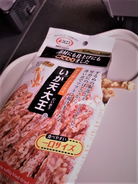 熱川温泉行き踊り子IMG_8398 (002).jpg